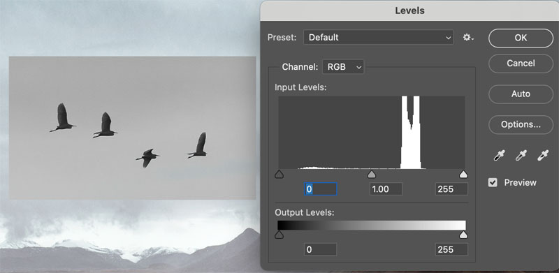Add birds to a photo in Photoshop, make background transparent